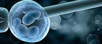 Pre-Implantation Genetic Diagnosis is the Hereditary Profiling of Undeveloped Organisms