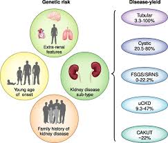 Ethical Implications in Genetic Counseling and Family Studies of the Epilepsies