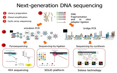 Genetic Studies of Complex Diseases in the Sequence Era