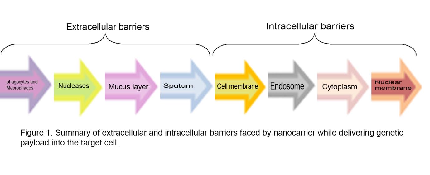 Non-Viral Vectors for Cystic Fibrosis Therapy: Recent Advances