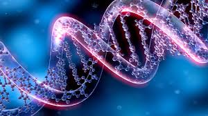 Isolation of Uncommon Pasteurella Multocida Strains from Cattle