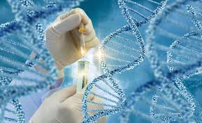 Apert Syndrome Due to Mutation of FGFR2 Gene (Fibroblast Growth Factor Receptor 2) – a Disorder of Advanced Paternal Age- a Case Report