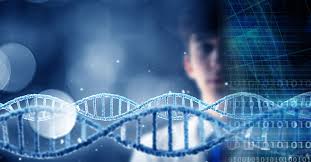 Pmp22 Gene Analyse, Clinical and Electromyographıc Evoluatıon Charcot-Marie-Tooth in a Single Center Experience