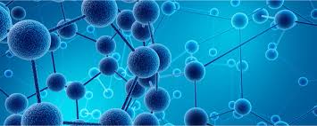 Combinatorial Approach to Target Human Metapneumovirus Using shRNA and Ribozyme