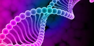 The Involvement of Sec71 in S. Pombe: A Possible Protein Trafficking Gene