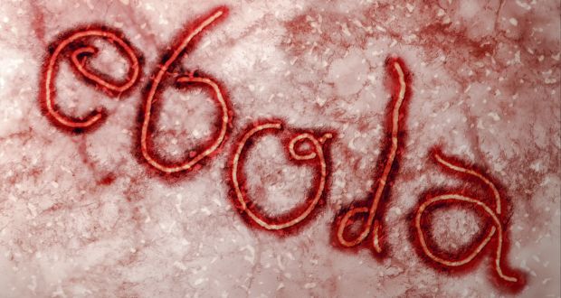 Marburg Virus Disease: A Review Literature