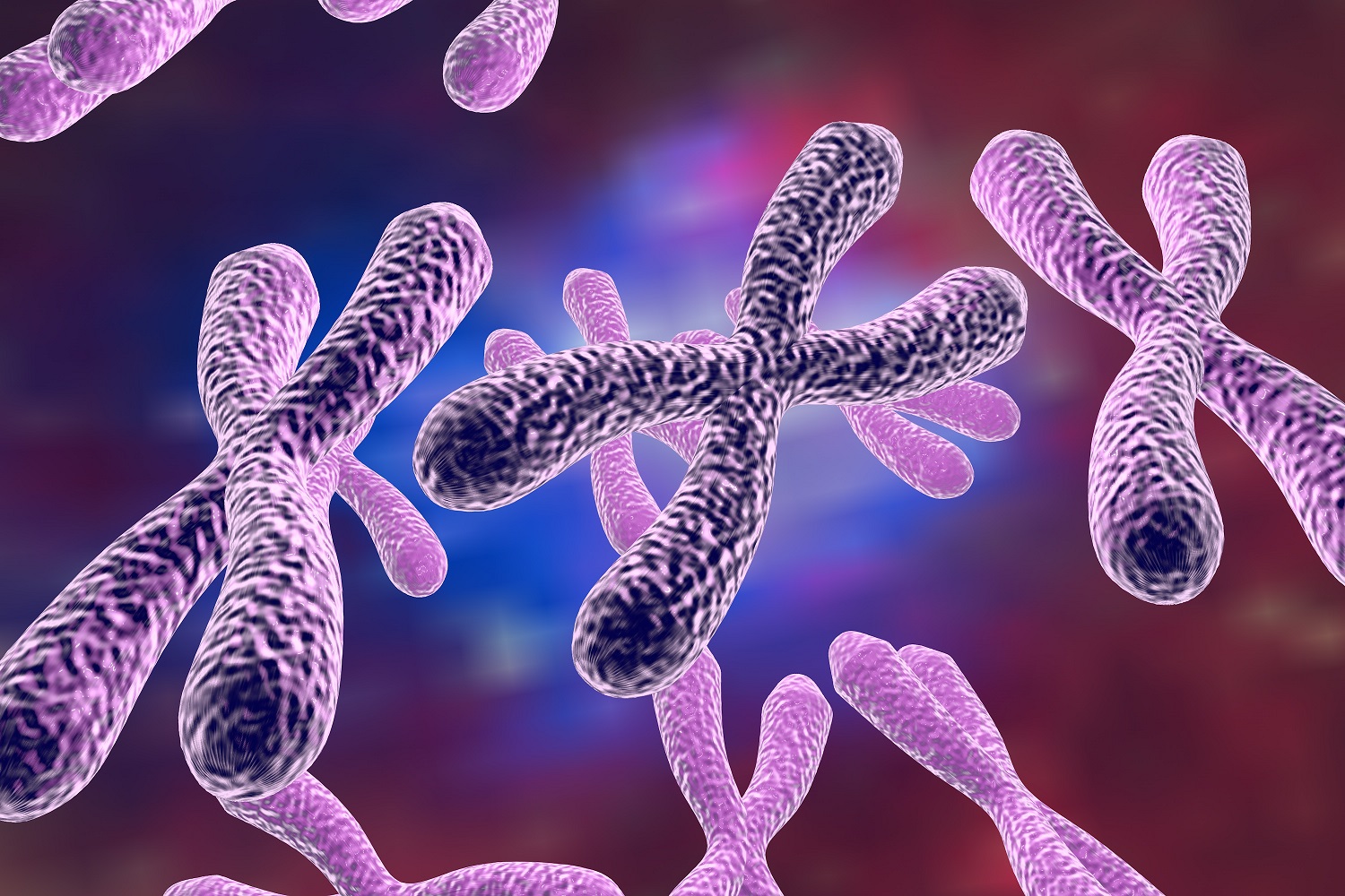 Low dose radiation effects on chromosome