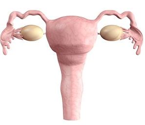 Benign Metastasizing Leiomyomas Involving Multiple Pelvic and Para-Aortic Lymph Nodes: A Case Report