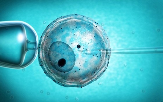 Embryonic Arrest is more likely to Happen in Frozen-Thawed Embryo Transfers