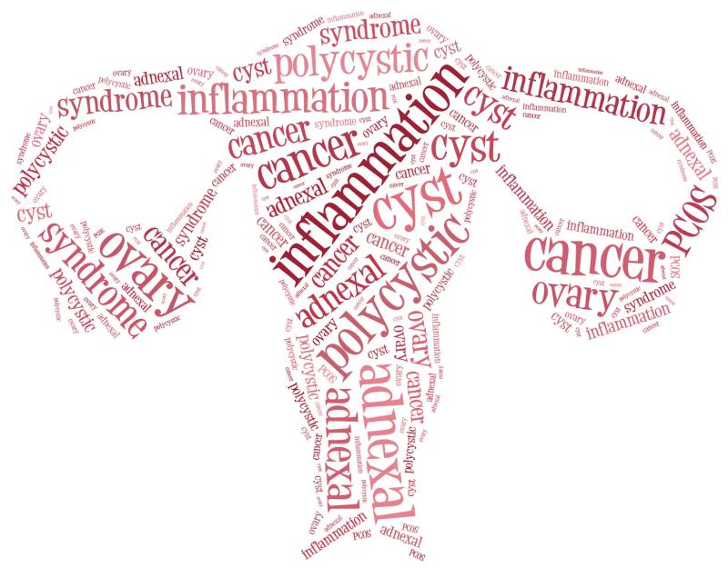 Diagnosis of Ovarian Masses before and after Ultrasound Imaging and Tissue Characterization