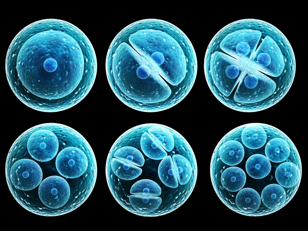 Factors Influencing the Role of Stem Cells in the Pathogenesis of Endometriosis