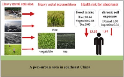Heavy Metal Pollution and Ecological Risk Assessment in the Surface Water