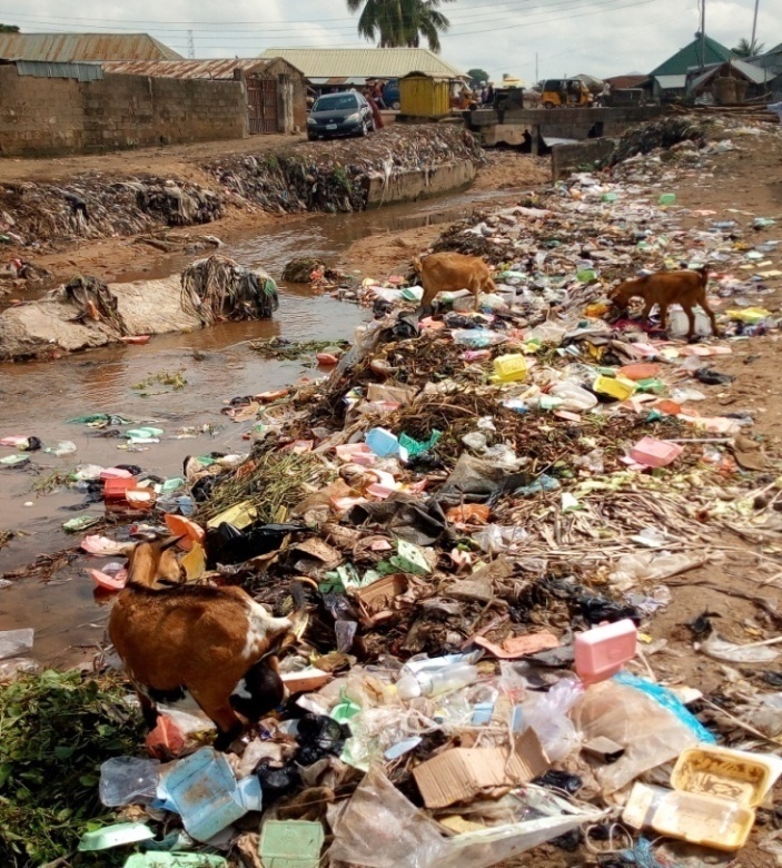 Environmental Effect of Solid Waste Dumpsites on Underground Water Quality in Jalingo Metropolis, Taraba State, Nigeria