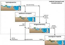 Water quality modeling