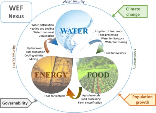 Water Energy Food Nexus in Sociohydrology