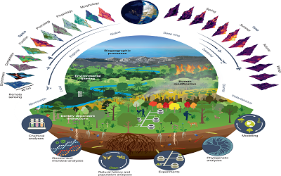 Remote Sensing of Ecological Restoration Engineering