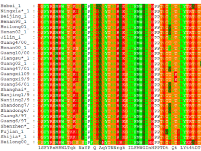 A Novel Method for Multiple Sequence Alignment Using Morphing Techniques