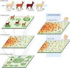 The Science and Craft of Forestalling Infection