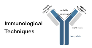 Immunological Techniques