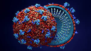 Covid-19 Infection in Children