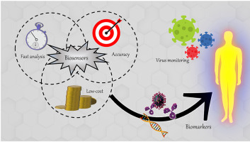 Electrochemical Biosensor for the Detection of Viruses and Possibly Covid-19