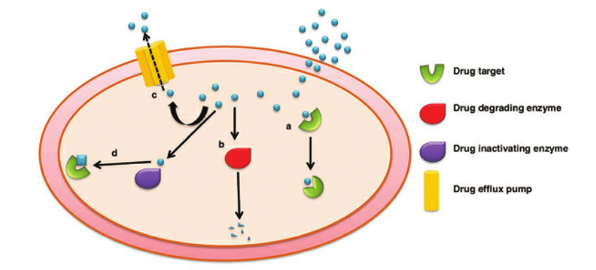 Drug resistance in mycobacterium tuberculosis