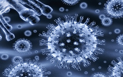 Comparison of Two HCV Confirmatory Tests: MP Diagnostics HCV Blot 3.0 and CHIRON RIBA HCV 3.0