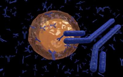 38 Years of Hybridoma Technology as a Source 
of Analytical Tools for Immunodiagnostics of Infectious Diseases. Some Contributions Developed in Cuba to Improve the Original Procedures and Future Prospects