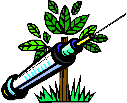 Is The Time Coming for Plant-Made Vaccines?