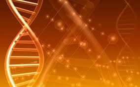 RNA Interference: A Recent Approach for the Remedy of Various Diseases