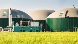 Protection Coordination of
Biogas Power Plant Connected
to Distribution Network