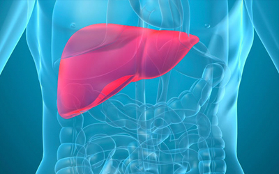 Beneficial Role of Silymarin, Alpha Lipoic Acid, N-Acetyl Cysteine and Selenium in the Management of Liver Disorders: An Observational Post-Marketing Study from India