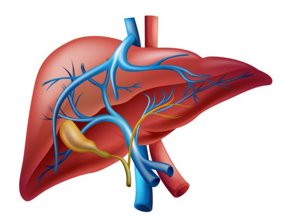 Journal of Liver Diseases and Transplantation Editorial Note