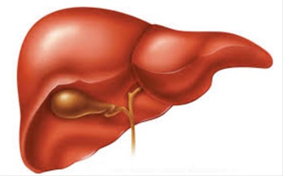 Potassium Supplementation Requirement Post Orthotopic Liver Transplantation in Children