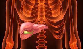 Bile Duct Leakage During Surgery