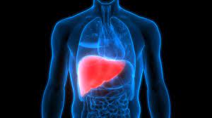 Care for the Patronus of Human Health- the Silent Liver