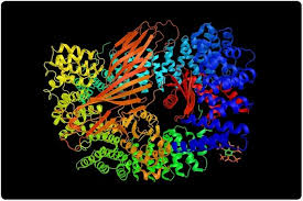 Time-of-Flight Mass Spectrometry with High Pressure Photon Ionization