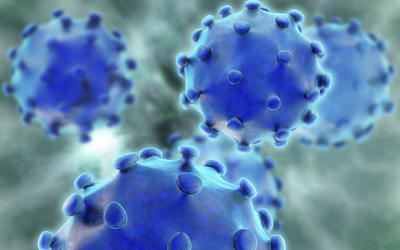 Hepatitis C: Success, but at a High Cost of Cure