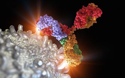 Targeting Immune Checkpoint Proteins as Novel Strategy for Treatment of Hepatocellular Carcinoma