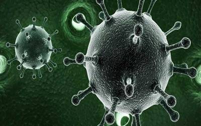 Prevalence of Hepatitis A Virus Antibodies among Natives in South-Western Region of Nigeria