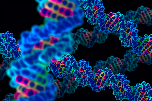 Market analysis of System Biology