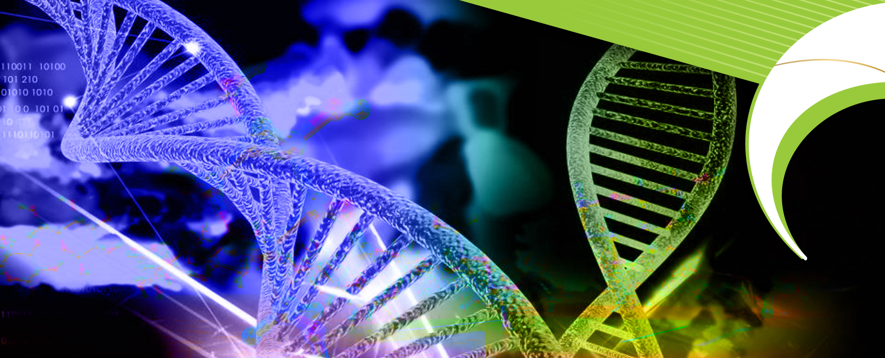 what is molecular in biology