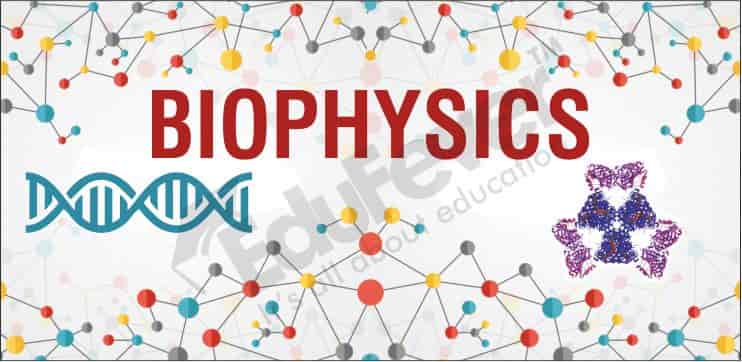 Implementation of Developmental 
Biophysics in Sciences