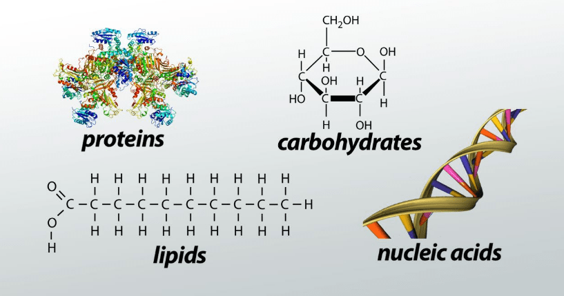 Advancements in Biochemistry
and its Methods