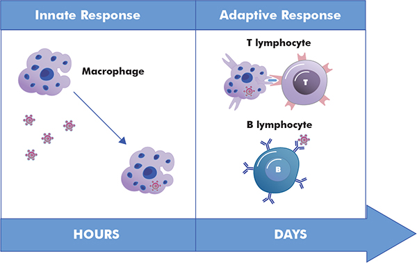 Life with Immunology and 
Medicinal Sciences