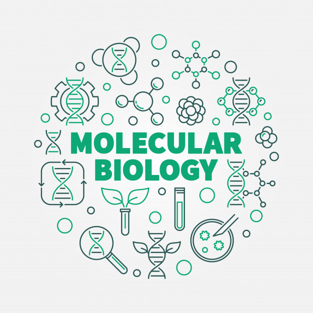 Life with Molecular Biology and 
Mechanism of DNA and RNA