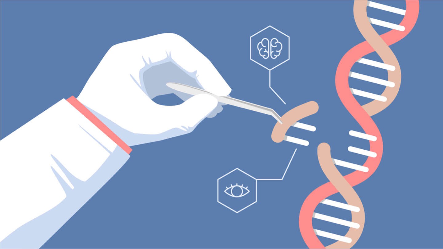 Hereditary Designing, Likewise Called Hereditary Adjustment or Hereditary Control, is the Immediate Control of a Creature's Qualities Utilizing Biotechnology