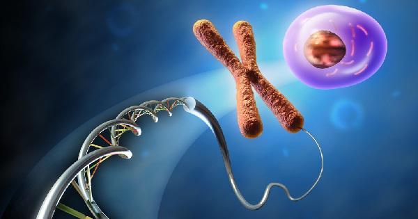 The Genetic Material is known as Mitochondrial DNA or mtDNA