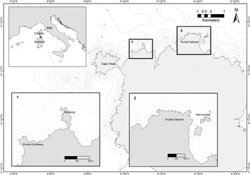 Human-Driven Effect on the Escape Responses of Two Commercially Important Coastal Fish Species