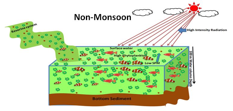 Food Sources of Bioavailable Organic Compounds (Carbohydrates , Proteins) to Four Different Types of Fishes in Coastal Waters of Visakhapatnam, East Coast of India